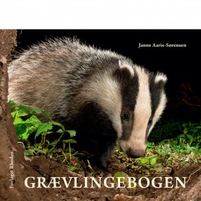 Grvlingebogen (af Janne Aaris-Srensen)