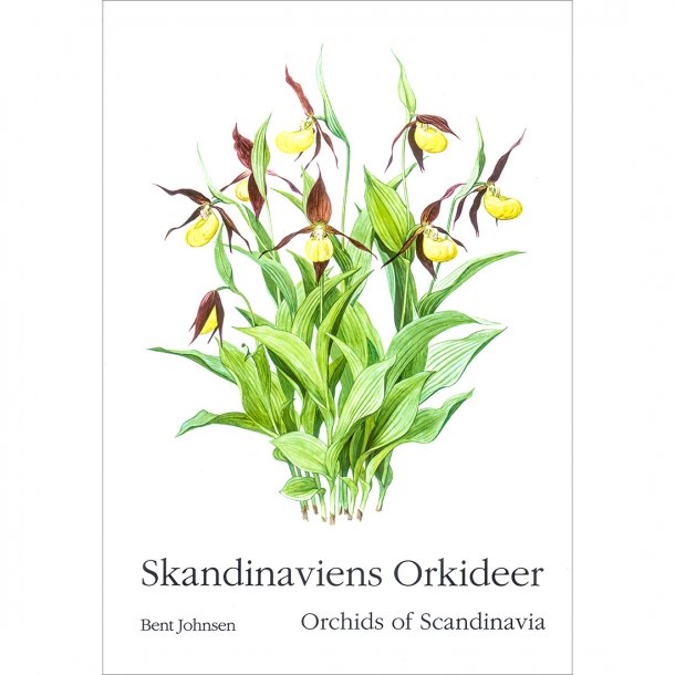 Skandinaviens orkideer / Orchids of Scandinavia (af Bent Johnsen)
